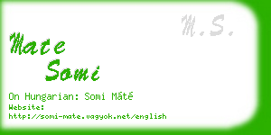 mate somi business card
