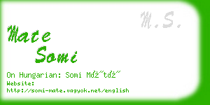 mate somi business card